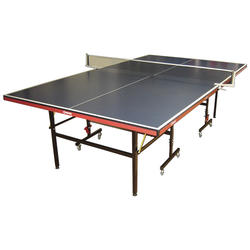 Mesa Ping Pong Hacker 6202B